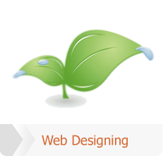 Web Designing